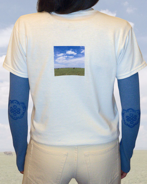 gobi t-shirt