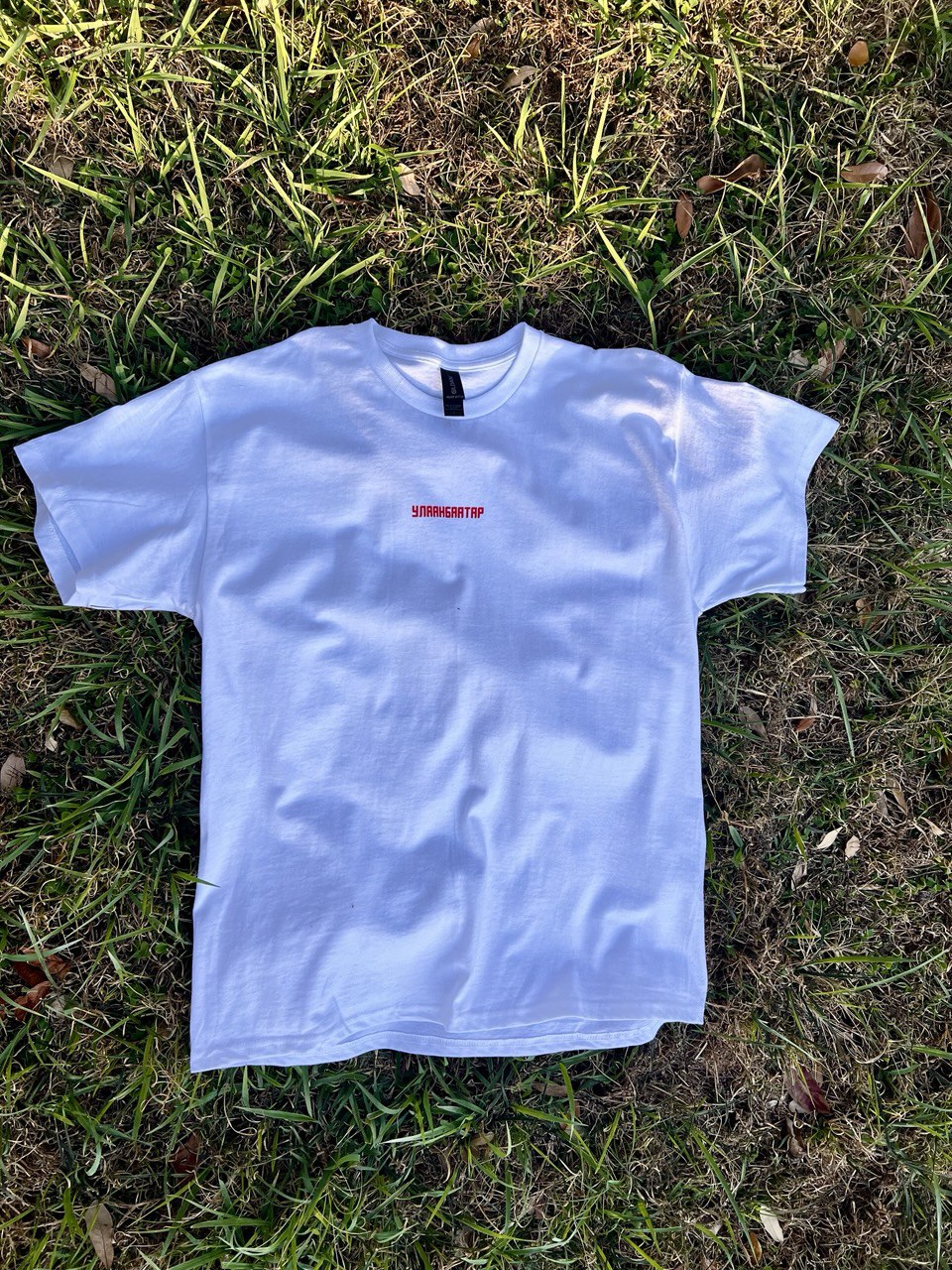 Ulaanbaatar tee